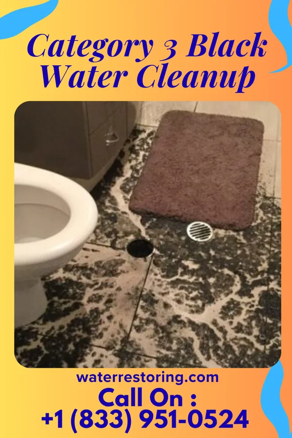 Category 3 Black Water Cleanup in Silver Ridge, NJ