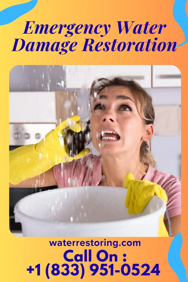 Emergency Water Damage Restoration in Silver Ridge, NJ