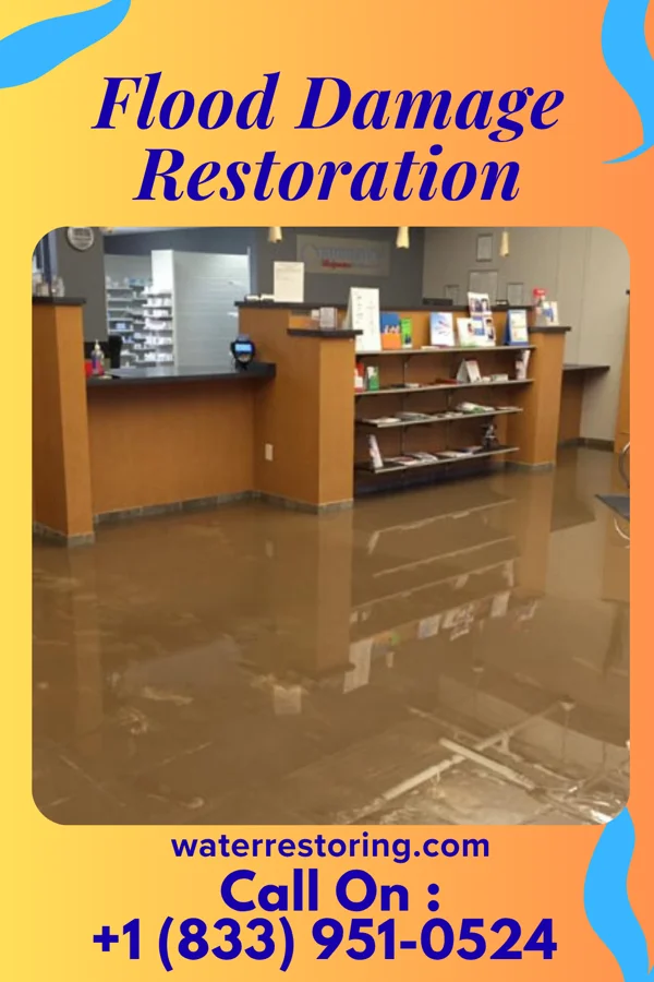 Flood Damage Restoration in Silver Ridge, NJ