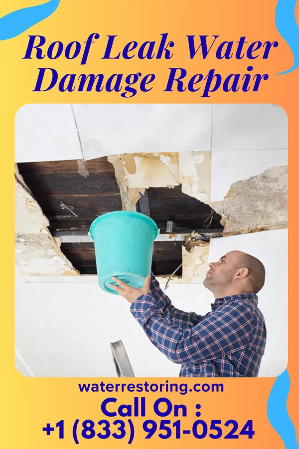Roof Leak Water Damage Repair in Silver Ridge, NJ