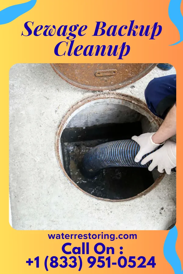 Sewage Backup Cleanup in Silver Ridge, NJ