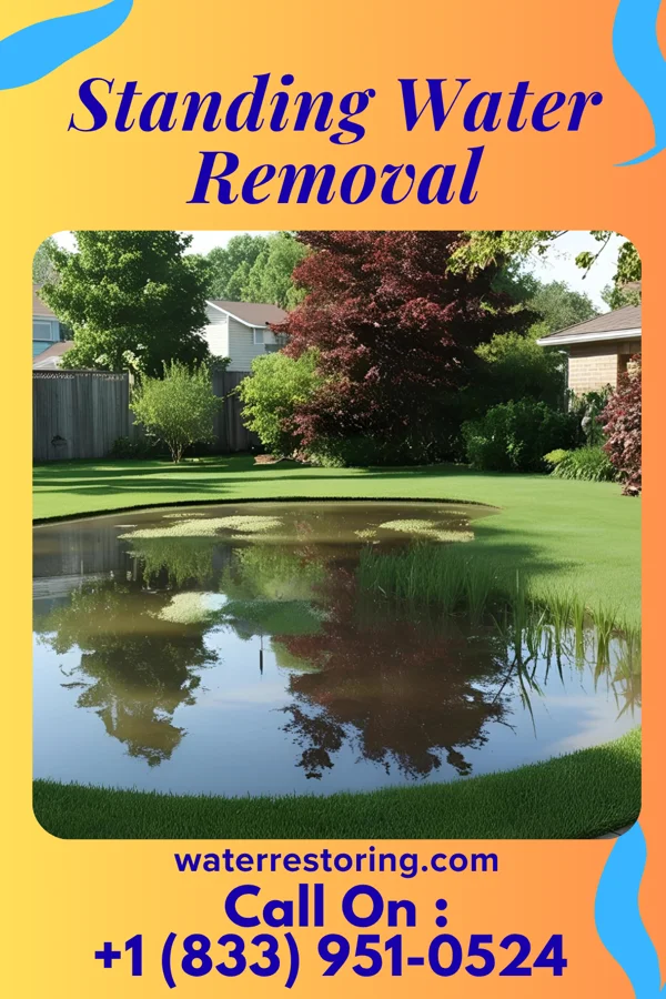 Standing Water Removal in Silver Ridge, NJ